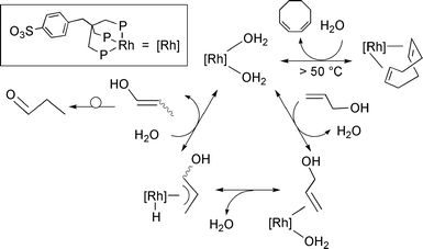 Proposed mechanism for the isomerization reaction of allyl alcohol to propanal catalyzed by 1.