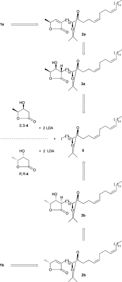 scheme, filename = b002905j-s2.gif