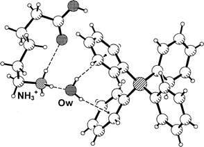 Crystal structure of 6-ammonio-n-hexanoic acid tetraphenylborate monohydrate 3; shown is one formula unit with a pair of Ow–H···Ph hydrogen bonds.