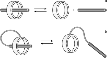 Schematic
 representations of (a) a conventional pseudorotaxane and (b) a self-complexing molecule in which a macrocycle is linked by a covalent tether to a tail containing a recognition unit.