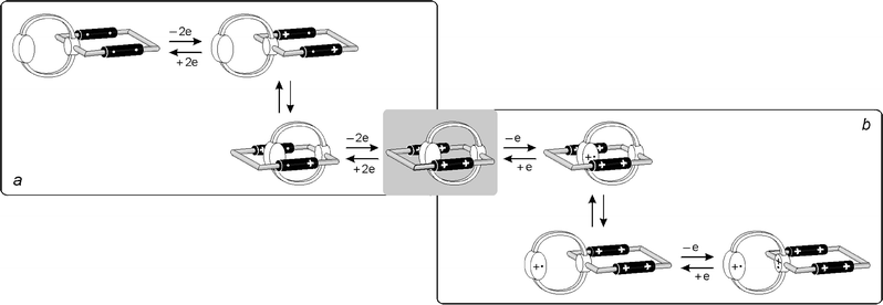 Scheme of the electrochemically controlled mechanical movements that can take place in compound 24+.