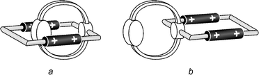 Cartoon
 representation of the two possible conformations of compound 24+.