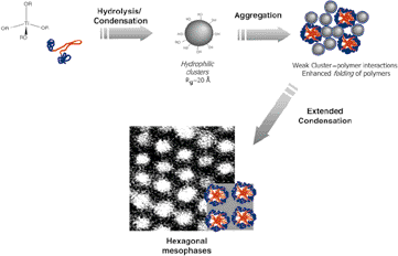 Design of meso-structured titanium oxo based hybrid organic–inorganic ...