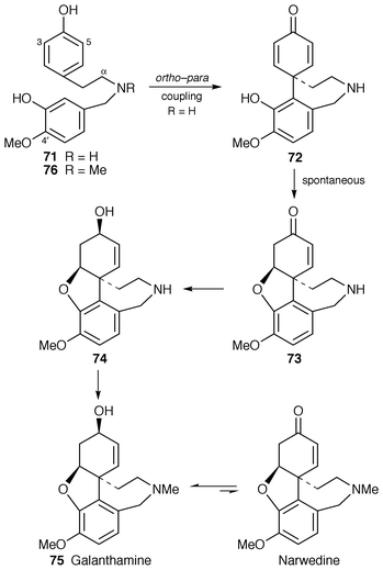 scheme, filename = a809393h-s11.gif