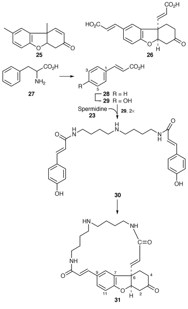 scheme, filename = a809393h-s3.gif