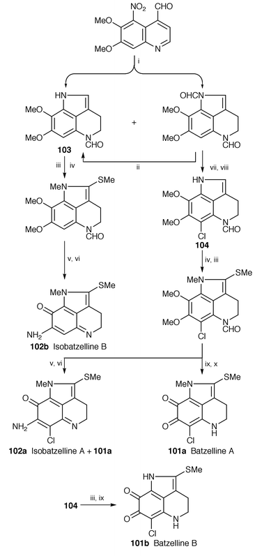 Reagents: i, NiCl2, NaBH4, MeOH, acetic formic anhydride; ii, DDQ, CH2Cl2, K2CO3, MeOH; iii, MeI, NaH, THF; iv, Me2S, SOCl2, CH2Cl2; v, aq NaOH, CAN, MeCN, H2O; vi, NH4Cl, MeOH, Ar, 40 °C; vii, NCS, DMF; viii, DDQ, CH2Cl2; ix, BBr3, CH2Cl2, O2; x, HCl, MeOH.
