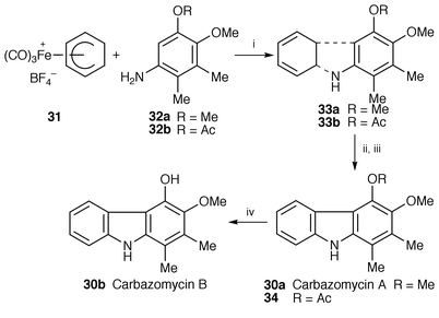 Reagents: i, MeCN, air, 25 °C; ii, Me3NO, Me2CO, 56 °C; iii, 10% Pd-C, o-xylene, 145 °C; iv, LiAlH4, THF, 25 °C.

