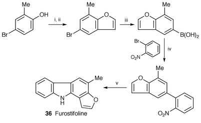 Reagents: i, BrCH2CH(OEt)2, K2CO3, DMF, 100 °C; ii, H3PO4, P2O5, PhCl, 140 °C; iii, THF, −78 °C, n-BuLi, B(OBu)3, H2O; iv, Pd(0), Na2CO3, DME, H2O, reflux; v, P(OEt)3, reflux.
