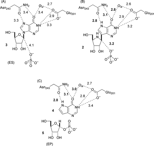 7 Reaction mechanisms. Part (iii) Bioorganic enzyme-catalyzed