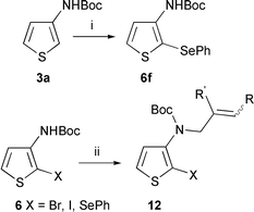 
          Reagents and conditions: (i) nBuLi (2.5 eq.), THF, −78 °C then PhSeSePh, −20 °C; (ii) NaH, THF then allylic halide, 20 °C.
