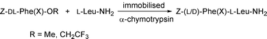 α-Chymotrypsin-catalysed peptide synthesis via the kinetically ...