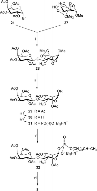 
          Reagents: i, Hg(CN)2, HgBr2, MeCN–PhMe; ii, (a) aq. TFA, CHCl3; (b) H2SO4, Ac2O; iii, Me2NH, MeCN–THF; iv, (a) triimidazolylphosphine, MeCN; (b) Et3NHHCO3, water (pH 7); v, (a) dec-9-en-1-ol, trimethylacetyl chloride, pyridine; (b) I2, pyridine–water; vi, NaOMe, MeOH.