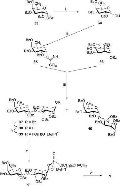 
          Reagents: i, Me2NH, MeCN–THF; ii, CCl3CN, DBU, CH2Cl2; iii, TMS triflate, MS 4 Å, CH2Cl2; iv, (a) triimidazolylphosphine, MeCN; (b) Et3NHHCO3, water (pH 7); v, (a) dec-9-en-1-ol, trimethylacetyl chloride, pyridine; (b) I2, pyridine–water; vi, NaOMe, MeOH.