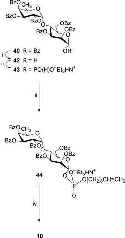 
          Reagents: i, Me2NH, MeCN–THF; ii, (a) triimidazolylphosphine, MeCN; (b) Et3NHHCO3, water (pH 7); iii, (a) dec-9-en-1-ol, trimethylacetyl chloride, pyridine; (b) I2, pyridine–water; iv, NaOMe, MeOH.