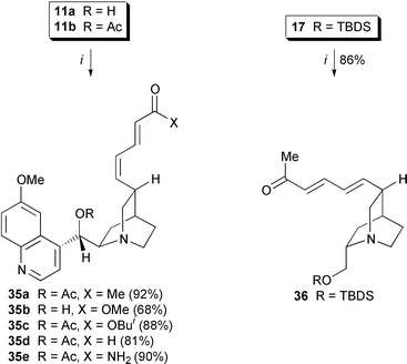 Heck reactions of (E )- and (Z )-vinyl iodides. Reagents and conditions: i, Pd(OAc)2 (0.05 eq.), K2CO3 (2.5 eq.), TBAI (1.0 eq.), α,β-unsatd. compound (4.0 eq.), DMF, RT, 12 h.
