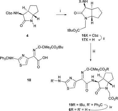 
            Reagents: i) BrCH2CO2tBu, Cs2CO3, MeCN; ii) H2, Pd; iii) Acid 18 + (COCl)2; iv) CF3COOH.
