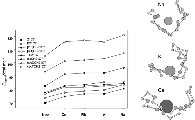 Evolution of the average internal energy for the crown ethers uncomplexed and in the geometry of their alkali complexes during 500 ps of molecular dynamics at 300 K in vacuo. Minimized structures of the Cs+, K+ and Na+ CH21C7 complexes. Variation: ±4 kcal mol−1 for 21C7 and benzo derivatives, ±5 kcal mol−1 for cyclohexano derivatives.
