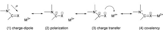 Schematic representation of electronic effects in the ML3+ complexes.
