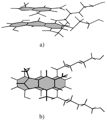 A structure of the 1∶1 CAF–NOV hetero-association complex calculated from NMR limiting chemical shifts: (a) side view of the hetero-complex; (b) view looking perpendicular to the planes of the chromophores of aromatic molecules. An equally probable structure is found by 180° in-plane rotation of the CAF molecule.
