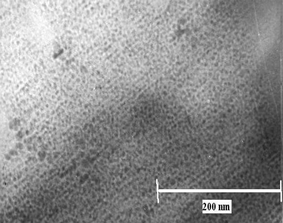 
          TEM image of the self-assembled array of Ag nanoclusters prepared by TEA along with DDT.
        