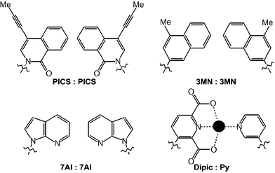 Structures of unnatural base pairs driven by forces other than hydrogen bonding.