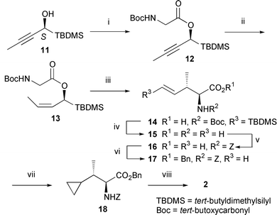 
          
            Reagents and conditions: i, Boc-glycine, 1-(3-dimethylaminopropyl)-3-ethylcarbodiimide hydrochloride (EDCI), DMAP, CH2Cl2, RT, 2 h, 94%; ii, H2, 5% Pd–CaCO3, Py, EtOAc, RT, 1 h, 81%; iii, LDA, ZnCl2, THF, −78 °C to RT, 2 h, 97%; iv, 42% aq. HBF4, 1,4-dioxane, 65 °C, 14 h, 100%; v, ZCl, K2CO3, 1,4-dioxane–H2O (1∶1), 0 °C to RT, 12 h, 73%; vi, BnOH, EDCI, DMAP, CH2Cl2, RT, 4 h, 94%; vii, iii in Scheme 1, 100%; viii, iv in Scheme 1, 100%.
        