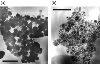 
          (a) TEM image of insoluble copper nanoparticles synthesised (a) by thermolysis of 1 in hot tri-n-octylphosphine oxide (TOPO): bar = 200 nm. (b) by thermolysis of a solution of 1 (in tri-n-butylphosphine) in hot TOPO: bar = 950 nm.
        