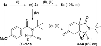 
          Mechanism of the cyclisation (i) t-BuLi, THF, −78 °C; (ii) 6·H, −78 °C–+25 °C; (iii) NH4Cl then HCl, H2O; (iv) CD3OD; (v) 6.Li, THF, −78–+25 °C.
        