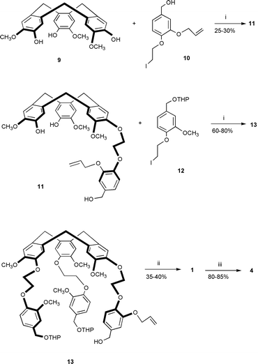 
          
            Reagents and conditions: i, Cs2CO3, DMF, 80 °C, 18 h; ii, CHCl3, HCO2H (50∶50), 55 °C, 2 h 30 min; iii, Pd(OAc)2, PPh3, THF, NHEt2, H2O, 4 h.
        