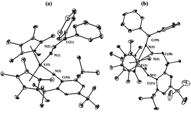 
          (a) Molecular structure of 2 with thermal ellipsoids at the 20% probability level. Selected bond distances (Å) and angles (°): U(1)–N(1) 2.031(6), U(1)–N(3) 1.987(5), N(1)–N(2) 1.308(8), N(2)–C(21) 1.310(10); N(1)–U(1)–N(3) 104.9, U(1)–N(1)–N(2) 157.1(5), N(1)–N(2)–C(21) 130.3(7), U(1)–N(3)–C(34) 176.1(5). (b) Molecular structure of 3 with thermal ellipsoids at the 20% probability level. Selected bond distances (Å) and angles (°): U(1)–N(1) 2.315(9), U(1)–N(2) 2.228(10), U(1)–N(3) 2.496(12), N(2)–N(3) 1.364(13), N(1)–C(21) 1.404(14), N(2)–C(38) 1.461(14), N(3)–C(39) 1.325(16); N(1)–U(1)–N(2) 81.9(4), N(2)–U(1)–N(3) 32.9(3), U(1)–N(1)–C(21) 133.2(8), U(1)–N(2)–C(38) 150.2(9), U(1)–N(3)–C(39) 168.3(9).
        