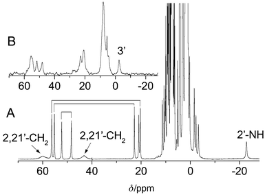 
          (A) 500 MHz 1H NMR spectrum of 5-HCl in CDCl3, 298 K; scalar couplings of β-pyrrole protons are marked. (B) 76 MHz 2H NMR of 5[D14]-HCl in CHCl3, 298 K.
        