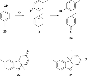 Formation of Pummerer’s ketone (21).