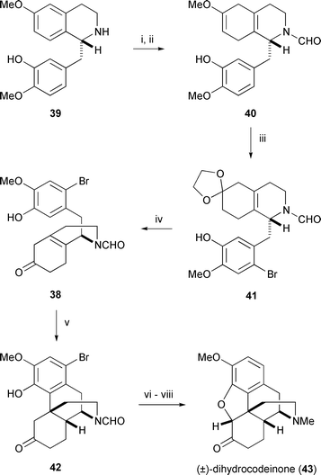 
          Reagents and conditions: i, Li, THF–t-BuOH–NH3, −55 °C, 90%, ii, PhOCHO, EtOAc, Δ, 94%; iii, cat. MsOH, ethylene glycol, THF, then NBS; iv, HCO2H–H2O, 90% from 40; v, NH4F·HF, TfOH, 0 °C, 60%; vi, aq. HCl, MeOH, Δ; vii, Br2, AcOH, then aq. NaOH, CHCl3; viii, H2, 10% Pd/C, NaOAc, aq. CH2O, AcOH, 79% from 42.