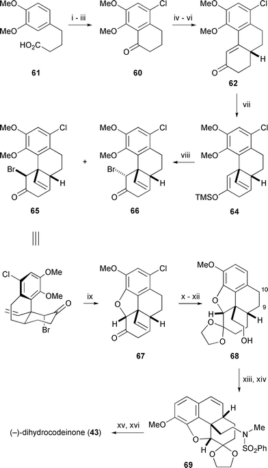 
          Reagents and conditions: i, Cl2, AcOH, 99%; ii, (COCl)2, benzene, Δ, iii, SnCl4, benzene, 0 °C, 71% (2 steps); iv, HCO2Me, NaOMe, benzene, 95%; v, methyl vinyl ketone, Et3N, MeOH; vi, KOH, dioxane–H2O, 81% (2 steps); vii, (CH2CH)2CuMgCl, THF, −78 °C → 0 °C, then TMSCl, Et3N, 0 °C → 25 °C; viii, NBS, THF, 81%, 65∶66 = 74∶26; ix, DMF, 140 °C, 99%; x, TMSCl, ethylene glycol, CH2Cl2, 92%; xi, BH3·SMe2, THF, then aq. H2O2, NaOH, 70%; xii, Raney Ni, KOH, MeOH, 98%; xiii, PhSO2NHMe, ADDP, Bu3P, benzene, 81%; xiv, (BzO)2, NBS, CCl4, Δ then Et3N, 67%; xvi, Li, NH3, THF–t-BuOH, −78 °C,
79%; xv, aq. HCl, 90 °C, 95%.