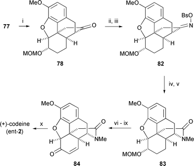 
          Reagents and conditions: i, Rh2(OAc)4, CH2Cl2, 50%; ii, HONH2·HCl, NaOAc, MeOH, 90%; iii, BsCl, DMAP, Et3N, CH2Cl2; iv, AcOH, rt, 69% (2 steps), regioselectivity = 92∶8; v, NaH, MeI, benzene, Δ 95%; vi, HBr, MeCN, 96%; vii, Dess-Martin periodinane, CHCl3, 99%; viii, t-BuOK, t-BuOH, then PhSeCl, THF, 75%; ix, NaIO4, THF–H2O, 91%; x, LiAlH4, THF, Δ 70%.