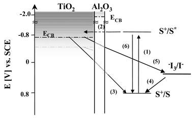 Illustration of the interfacial charge-transfer processes occurring at the nanostructured TiO2/dye/electrolyte interface of DSSC. Also shown is the Al2O3 blocking layer as developed in this paper.