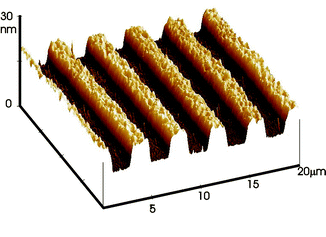 AFM image of a 30 nm PMETAC brush grown from a patterned surface.