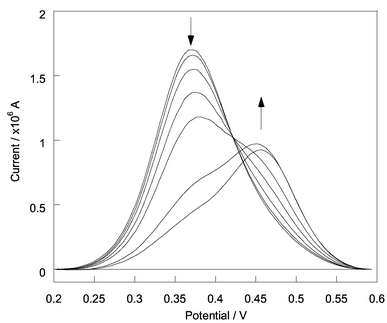 Differential pulse voltammograms of 2 (5.0 × 10−5 mol dm−3) with different concentration of d-glucose (0, 1.11 × 10−4, 3.89 × 10−4 6.66 × 10−4 1.04 × 10−3, 1.03 × 10−2, 1.02 × 10−1 mol dm−3) at pH 8.21 in 52.1 wt% methanol. The area of the glassy carbon electrode is 0.28 cm2. Voltammetric parameters are as follows: scan rate, 20 mV s−1; modulation time, 50 ms; interval time, 500 ms; step potential, 5.1 mV; modulation amplitude 25.05 mV. The lack of an isobestic point is attributed to viscosity effects.