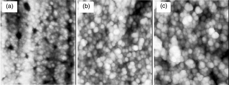 AFM images for the structures with (a)
N = 0 (pre-oscillation conditions), (b)
N = 2, (c)
N = 20. Deposition current is 1 mA cm−2. The size of the image is 0.5 µm × 0.5 µm.