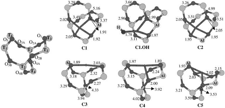 Labeling of the O- and T-atoms in site C, and coordination environments of Cu2+ in site C (clusters C1–C5, C1.OH). Cu–O distances are given in Å.