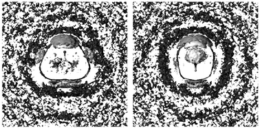 Urea–water PDF's of U1 in orthographic view (same as Fig. 8) and regions with reduced water density (dark gray).