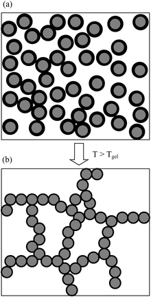 Diagram depicting the proposed mechanism for thermally-induced gelation for an O/W emulsion. The oil droplets (grey) contain an adsorbed layer of copolymer (black) in each case. At room temperature (a) the layer is expanded and at elevated temperature (b, above the LCST) it is collapsed and the emulsion gels.