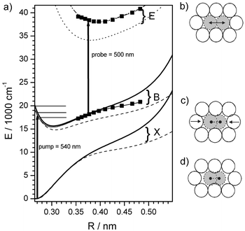 (a) Potential energy diagram of I2 in Kr including the ground state X, the valence B state and the ionic E state relevant for the pump–probe spectra. The arrows depict pump and probe transitions. The horizontal lines indicate pump energies corresponding to λpump
= 570, 540 and 500 nm, respectively. The squares indicate the shape of the potentials as derived from the experiment. Dashed lines correspond to DIM calculations in the fixed Kr fcc lattice (see text and Fig. 1b and d) and solid lines to a relaxed cage geometry (see Fig. 1c). The dotted line reproduces the E state from ref. 35 for a fixed fcc lattice (see Fig. 1b) and the dash-dotted line includes a shift by 0.01 nm outwards and 3900 cm−1
up in energy. (d) shows I2 in the ground state surrounded by a fixed fcc lattice. Note the space between I and Kr along the internuclear axis is responsible for the soft potential in this geometry. In (c) the Kr atoms have relaxed around the molecule, bending the outer limb of the potential up. (b) shows the I2 at a bond distance R
= 0.4 nm typical for a probe transition. Here the fixed fcc lattice approximates a geometry relaxed around the extended I–I bond.