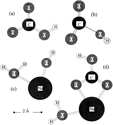 Molecular geometries predicted by ab initio quantum theory at the B3LYP/6-311+G(2d,p) level: (a) HCO3
(planar); (b) the HCO3 → OH+CO2 saddle point (H–O–C–O[bottom left] dihedral angle = 68°); (c) the NaOH–H2O cluster (H[top right]–O–Na–O dihedral angle = 144°); (d) the NaHCO3–H2O cluster (planar).