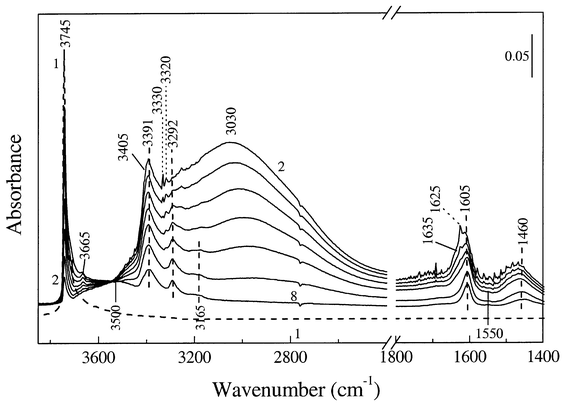 NH 3 adsorption on MCM 41 and Ti grafted MCM 41. FTIR DR UV Vis