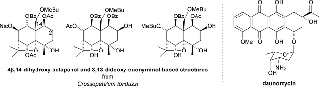 MDR reversing sesquiterpenoids from Crossopetalum tonduzzi and the structure of cancer chemotherapy agent daunomycin.