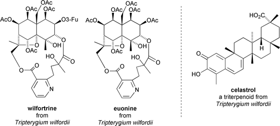 Immunosuppressive sesquiterpenoids from Tripterygium wilfordii and the structure of immunosuppressive triterpenoid celastrol.