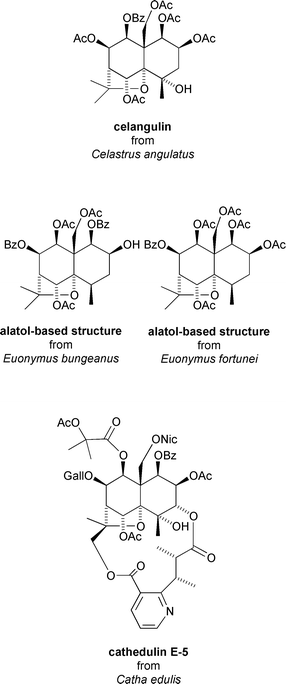 Insecticidal/anti-feedant sesquiterpenoids from Celastrus angulatus, Euonymus bungeanus, Euonymus fortunei and Catha edulis.