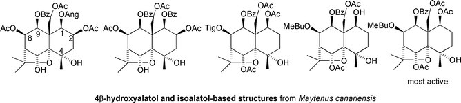 Anti-feedant sesquiterpenoids from Maytenus canariensis.