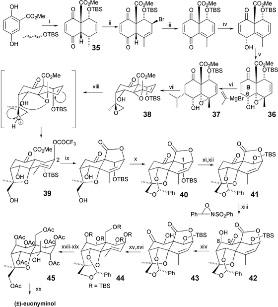 The White synthesis of (±)-euonyminol (1997). Reagents and yields: (i) Ag2O [94%]; (ii) NBS, Bz2O2; (iii) Et3N [98%, 2 steps]; (iv) NaBH4, CeCl3·7H2O [90%]; (v) MCPBA [88%]; (vi) LDA, 15-crown-5 [63%]; (vii) tBuOOH, 2,6-lutidine, VO(acac)2 [74%]; (viii) TFA; (ix) Pyr–THF–H2O then imidazole, MeCN [75%, 2 steps]; (x) PPTS, PhCH(OMe)2 [83%]; (xi) nBu4NF [96%]; (xii) TBSOTf, Et3N [100%]; (xiii) KHMDS [86%]; (xiv) AlMe3 [100%]; (xv) LiAlH4 then HCl; (xvi) TBSOTf, Et3N; (xvii) OsO4, Pyr; (xviii) Amberlite IR-120, AcOH–H2O; (xix) Ac2O, Pyr, [30%, 5 steps]; (xx) NaOMe, MeOH, then Amberlite IR-120 [100%].